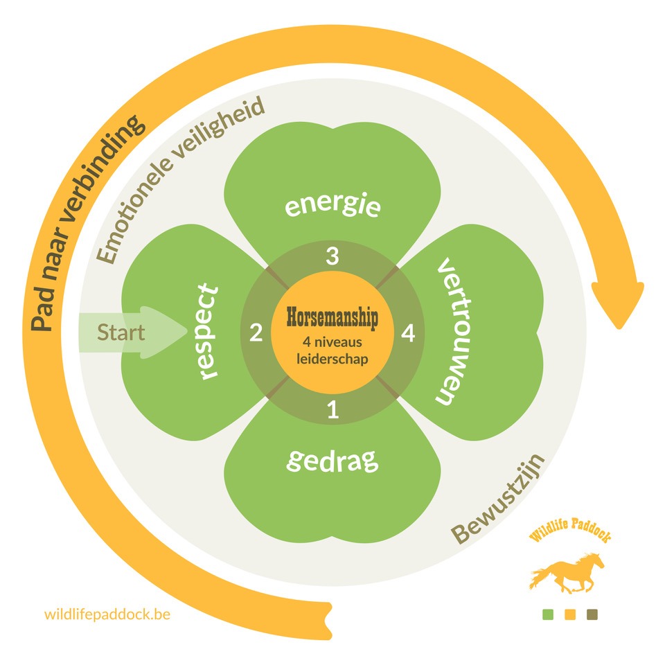 Het 4-Level Klavertje: gedrag, respect, energie, vertrouwen